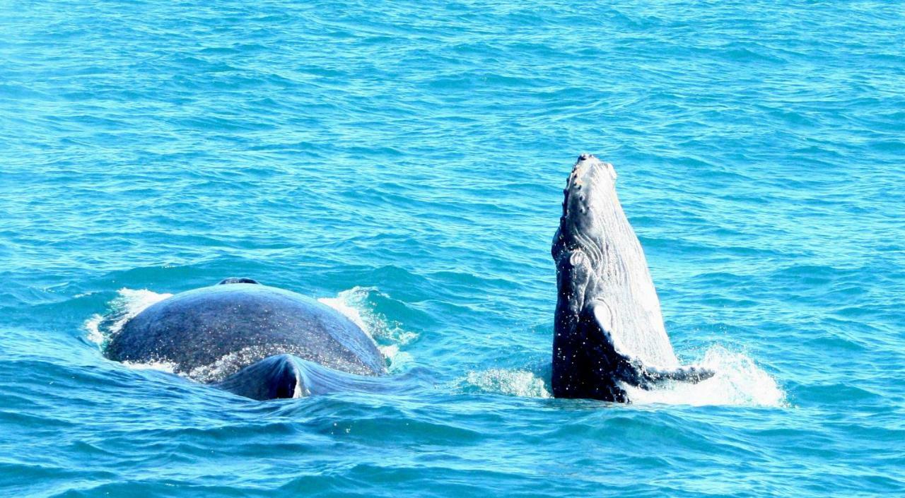 Pousada Areia Preta Cumuruxatiba Εξωτερικό φωτογραφία